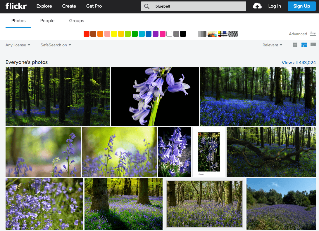image search engines Flickr